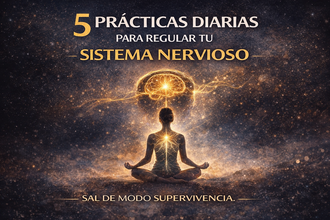 5 prácticas diarias para regular el sistema nervioso y salir del modo supervivencia — Bibliograndeza